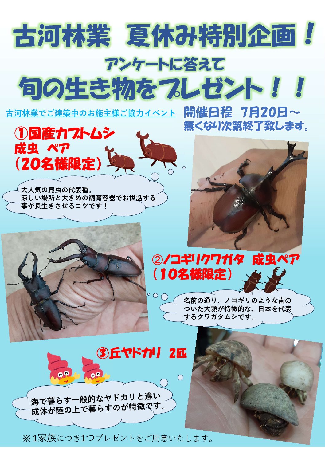 【瀬田】夏休み特別企画！夏の生き物プレゼント